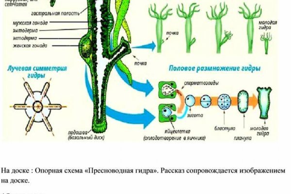 Покупка биткоина с карты сбербанка на меге